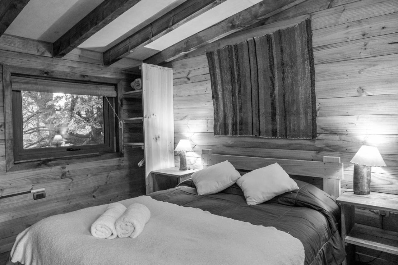 Onai Hostel Las Trancas Εξωτερικό φωτογραφία